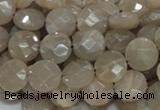 CMS44 15.5 inches 10mm faceted coin moonstone gemstone beads