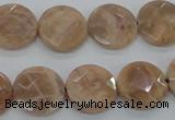 CMS47 15.5 inches 16mm faceted coin moonstone gemstone beads