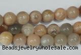 CMS503 15.5 inches 8mm round moonstone beads wholesale