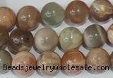 CMS505 15.5 inches 12mm round moonstone beads wholesale