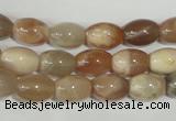 CMS511 15.5 inches 8*12mm rice moonstone beads wholesale