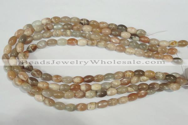 CMS511 15.5 inches 8*12mm rice moonstone beads wholesale