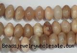 CMS519 15.5 inches 6*10mm rondelle moonstone beads wholesale