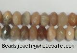 CMS565 15.5 inches 6*10mm faceted rondelle moonstone beads wholesale