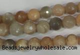 CMS571 15.5 inches 8mm faceted round moonstone beads wholesale