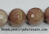 CMS65 15.5 inches 20mm faceted round moonstone gemstone beads