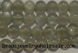 CMS652 15.5 inches 8mm round grey moonstone beads wholesale