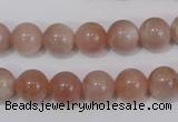 CMS754 15.5 inches 10mm round natural moonstone beads wholesale