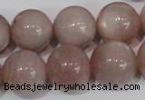 CMS759 15.5 inches 17mm round natural moonstone beads wholesale