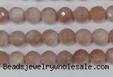 CMS764 15.5 inches 8mm faceted round natural moonstone beads