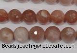 CMS765 15.5 inches 10mm faceted round natural moonstone beads