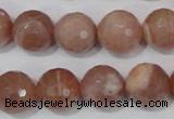 CMS767 15.5 inches 14mm faceted round natural moonstone beads