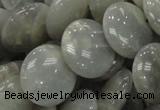 CMS79 15.5 inches 20mm flat round moonstone gemstone beads