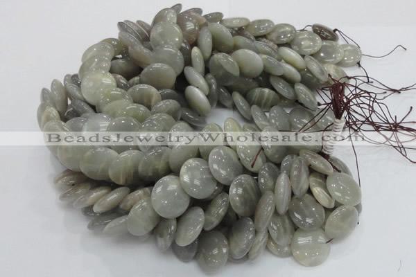 CMS79 15.5 inches 20mm flat round moonstone gemstone beads