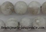 CMS803 15.5 inches 10mm faceted round white moonstone beads