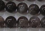 CMS853 15.5 inches 10mm round natural black moonstone beads