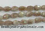 CMS87 15.5 inches 6*9mm faceted teardrop moonstone gemstone beads