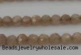 CMS940 15.5 inches 4mm faceted round A grade moonstone gemstone beads