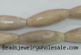 CMS95 15.5 inches 10*30mm faceted rice moonstone gemstone beads