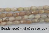 CMS99 15.5 inches 5*7mm faceted rice moonstone gemstone beads