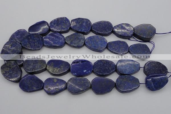 CNG1087 15.5 inches 20*25mm - 22*28mm freeform lapis lzuli beads