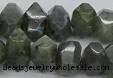 CNG1152 15.5 inches 10*14mm - 15*20mm faceted nuggets labradorite beads