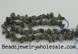 CNG1159 15.5 inches 8*12mm - 13*18mm nuggets labradorite beads