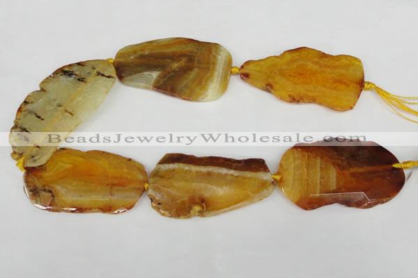 CNG1236 15.5 inches 30*50mm - 40*65mm freeform agate beads