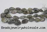 CNG1715 15.5 inches 15*20mm - 20*30mm nuggets labradorite beads