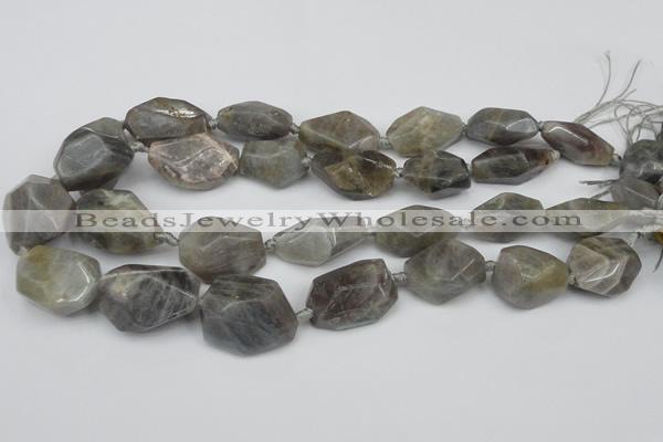 CNG1715 15.5 inches 15*20mm - 20*30mm nuggets labradorite beads