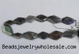 CNG2712 15.5 inches 18*25mm - 25*35mm freeform labradorite beads