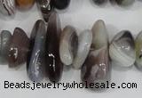 CNG316 15.5 inches 3*6mm - 5*22mm nuggets botswana agate beads