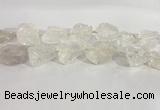 CNG3558 15.5 inches 18*20mm - 25*30mm nuggets rough white crystal beads