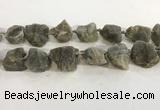 CNG3567 15.5 inches 18*20mm - 25*30mm nuggets rough labradorite beads