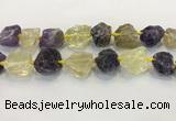 CNG3576 18*20mm - 25*30mm nuggets rough amethyst & lemon quartz beads