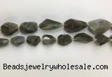 CNG3589 13*18mm - 15*30mm faceted nuggets labradorite beads