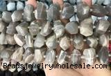 CNG3605 15.5 inches 13*20mm - 15*24mm faceted nuggets moonstone beads