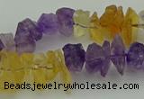 CNG5045 15.5 inches 4*8mm - 6*15mm nuggets amethyst & citrine beads