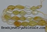 CNG5079 15.5 inches 20*30mm - 35*45mm freeform citrine beads