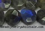 CNG5144 15.5 inches 15*18mm - 15*20mm faceted freeform labradorite beads