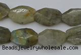 CNG5253 15.5 inches 13*18mm - 15*20mm faceted freeform labradorite beads