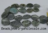 CNG5254 15.5 inches 22*30mm - 35*45mm faceted freeform labradorite beads