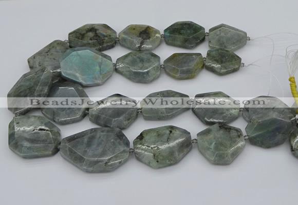 CNG5254 15.5 inches 22*30mm - 35*45mm faceted freeform labradorite beads