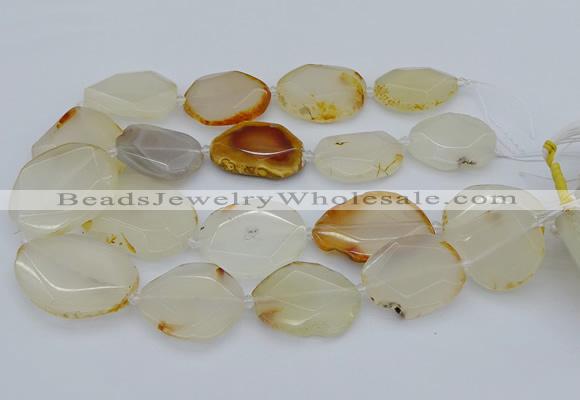 CNG5363 15.5 inches 20*30mm - 35*45mm faceted freeform agate beads