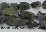 CNG5528 15.5 inches 10*14mm - 15*20mm nuggets labradorite beads