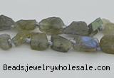 CNG5620 6*9mm - 10*16mm nuggets labradorite gemstone beads