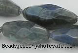 CNG5643 15.5 inches 15*35mm - 18*40mm faceted rice labradorite beads