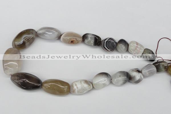 CNG57 15.5 inches 12*18mm - 25*35mm nuggets botswana agate beads