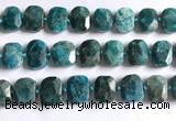 CNG5789 15.5 inches 13*18mm - 15*20mm faceted freeform apatite beads