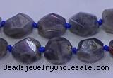 CNG5790 10*12mm - 10*14mm faceted freeform labradorite beads